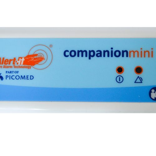 Companion Mini
